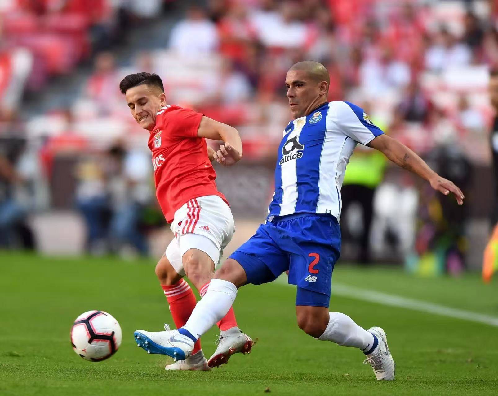  葡超赛程吃紧，山东泰山冲刺阶段造点机会，气氛紧张，临场指挥获称赞